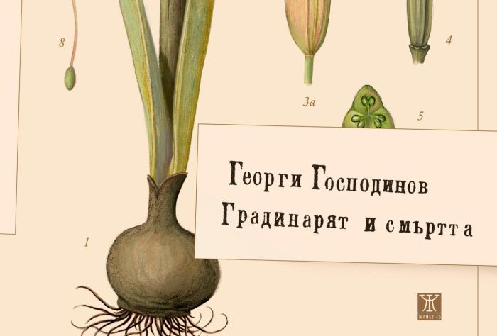 Георги Господинов с нов роман - елегия за ботаниката на тъгата