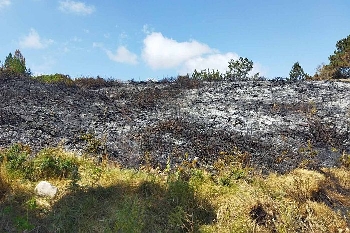 Трети гръцки пожар е на 150 метра от границата ни
