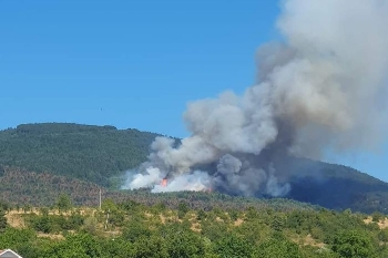 Нов пожар се разгоря край Пехчево, огънят е висок над 50 метра