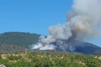 Нов пожар се разгоря край Пехчево, огънят е висок над 50 метра