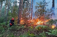 Доброволците към Община Петрич гасиха десетки пожари само за броени дни