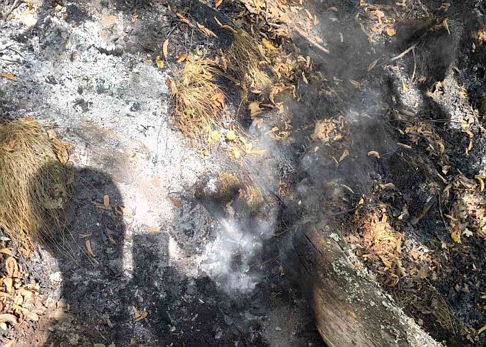 Укротиха пожарите край границата, до няколко дни ги потушават