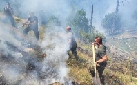 Пожар избухна в природен парк Рилски манастир