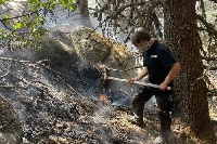 Пожарът в Рила обхвана 40 дка, горят мурови и борови дървета