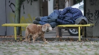 Настаниха четирима бездомници на топло в Благоевград Настаниха четирима бездомници на топло в Благоевград