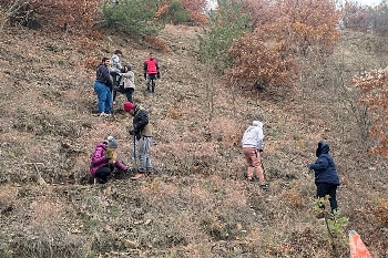 Ученици, учители и горски засадиха 500 фиданки край село Тополница