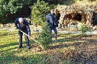 Садят нови фиданки в парка и Летния театър на Сандански