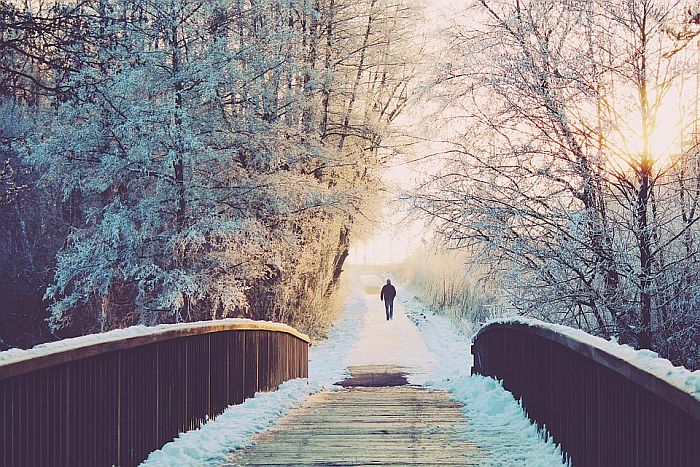 Снимка: Pixabay