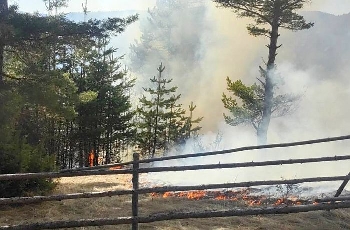 Два пожара лумнаха в гората край село Плетена