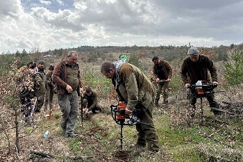 Залесяват фиданки 100 години Седмица гората