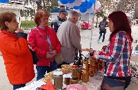 Висока смъртност сред пчелите, стопани от Пиринско иска държавна подкрепа