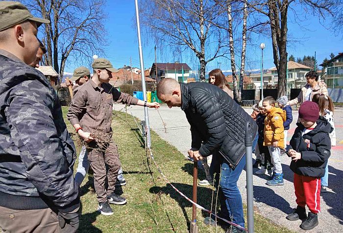 Малки и големи озеленяват Банско с дървета, храсти и здравец