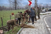 Изградиха нов ветрозащитен пояс в град Банско за Седмицата на гората Изградиха нов ветрозащитен пояс в град Банско за Седмицата на гората