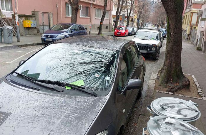 Снимката е илюстративна, фото: Община Благоевградх