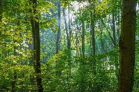 Днес слънцето ще донесе настроение и по-високи температури