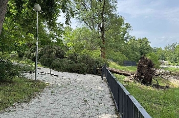 Буря удари Хисаря, отнесе дървета, изпочупи клони, има щети по десетки автомобили