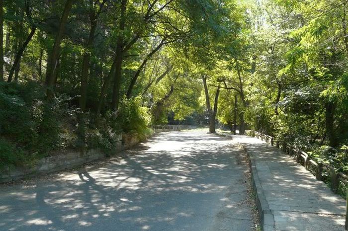 Снимка: Пресцентър, архив