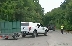 Още издирват пантерата в Шумен, случката развихри въображението на хората