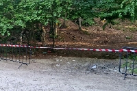 Голямата черна котка бродела на свобода от април, появи се второ видео на хищника Голямата черна котка бродела на свобода от април, появи се второ видео на хищника