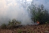 Голям пожар лумна край пътя между селата Микрево и Драката