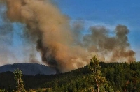 Пожар край Песнопой погълна 30 вили, евакуираха хора Пожар край Песнопой погълна 30 вили, евакуираха хора