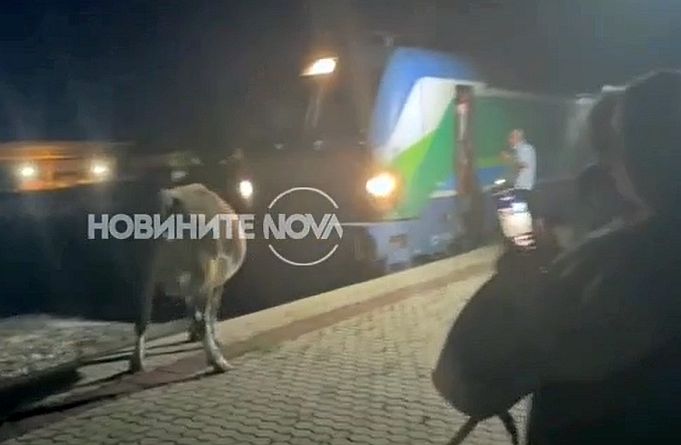 Снимка: NOVA tv