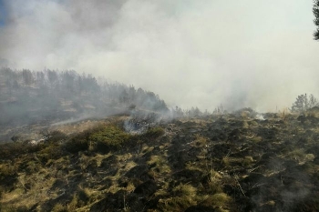 Голям пожар избухкрай село Горно Спанчево, пълзи към гората