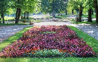 Редят бетонови павета на алея в парка на Банско, монтират ново осветление в зоната за отдих Редят бетонови павета на алея в парка на Банско, монтират ново осветление в зоната за отдих