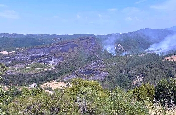 Пожарът над село Горно Спанчево захапа и 500 декара гори