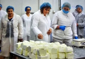 65 от малкия и среден бизнес не е сменил софтуера касовите си апарати заради еврото