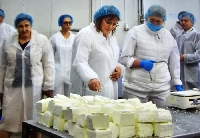 65% от малкия и среден бизнес не е сменил софтуера на касовите си апарати заради еврото