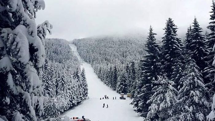 Снимка: Община Сапарева баня