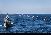 Иран изкара целия си флот в Индийския океан