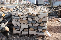Купиха с онлайн наддаване 15 200 куб. м добита дървесина в ЮЗДП