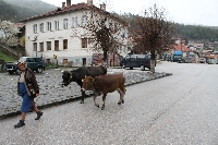 В Белица очакват догодина да заработи мина за добив на злато В Белица очакват догодина да заработи мина за добив на злато