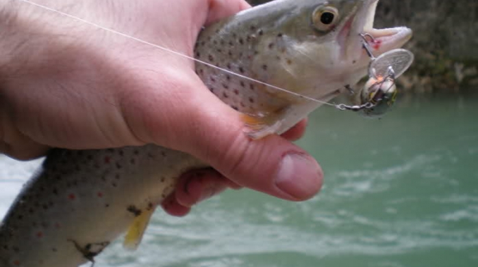 Снимка: bigfish.bg