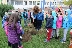 Деца засадиха 12 фиданки планински ясен в Банско