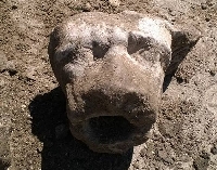 Още една лъвска глава откриха в древния град Хераклея Синтика