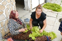 Тютюнджиите в Пиринско в стачна готовност заради неизплатени премии