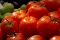 Производители от Пиринско: По-скъпи зеленчуци ще ядем това лято