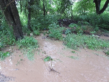 Самоков е под вода, порои давят Северна България