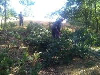 50 км по границата с Македония вече са почистени от дървета и храсти