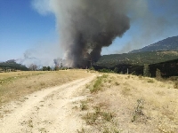 Голям пожар вилнее край село Мечкул
