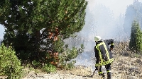 Пожарът над Кресненското дефиле погълна 7000 дка смесена гора