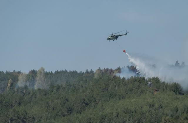АПИ залесява изпепеления от пожара район над Кресна