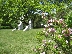 Засаждат 100 дръвчета в парк Свети Врач в Сандански