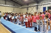Започна XIV Международен турнир по спортна гимнастика в Благоевград Започна XIV Международен турнир по спортна гимнастика в Благоевград