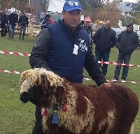 Кочът Мечо донесе първа награда в състезание на овцевъд от Краище
