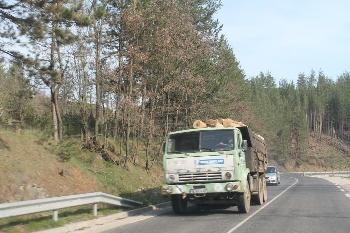 4 автомобила с незаконна дървесина задържаха край Разлог и Симитли