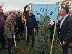 Кметът на Белица засади дървото на толерантността